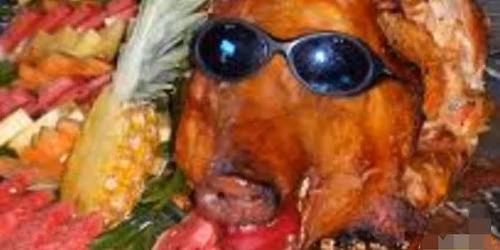 Pig Roast (Sponsored by Mecca 9)
