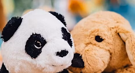 Eco Explorers - The Crossword Challenge