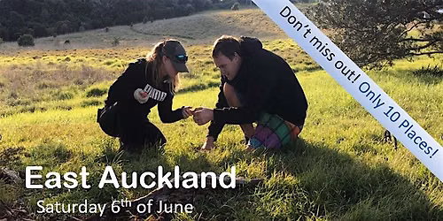 Auckland East Forage fun!