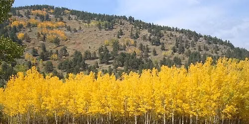 Sierra-Nevada Autumn Photo Exhibit at Bartley Ranch Regional Park