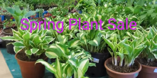 Waterford Garden Club Spring Plant Sale 