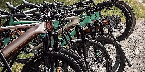 Cap's Bicycle\/ Life Cycles Demo Day