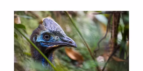 "Life is Once - Forever" - Photography Exhibition - In partnership with CrystalBrook Bailey Cairns