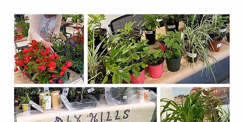 Dix Hills Garden Club Plant Sale