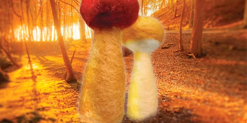 Needle Felted Mushrooms: Cute as a Button (Mushroom)