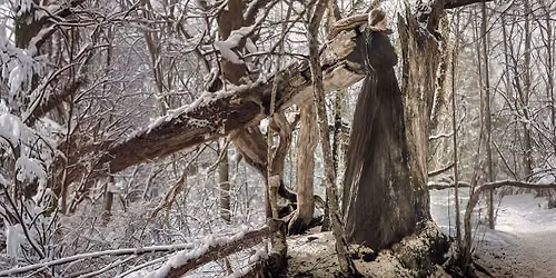 Entanglement: I am a tree, I am a mouth