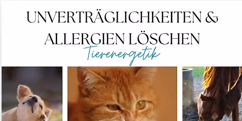 Tierenergetische Ausbildung - Unvertr\u00e4glichkeiten und Allergien energetisch l\u00f6schen