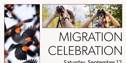Migration Celebration — Outdoors & nature in Ithaca, NY