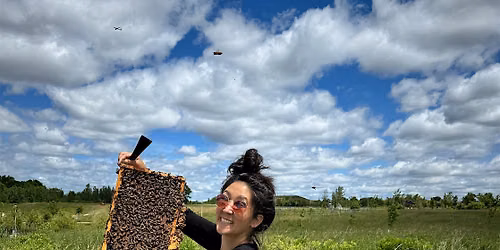 Urban Farm Apiary Tour (visit our bee yard in Toronto!)