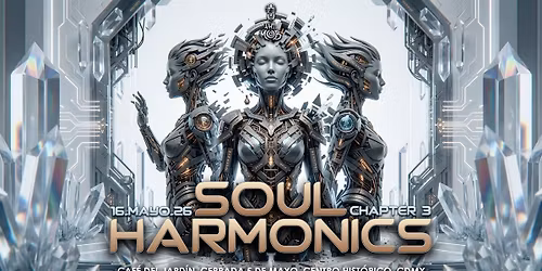Soul Harmonics Chapter 03