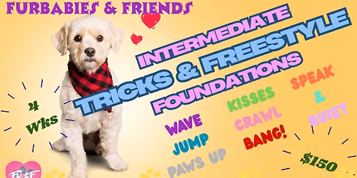 Intermediate Dog Training Tricks & Freestyle Foundations - 11\/22\/25 - 10am - 4 Weels - $150