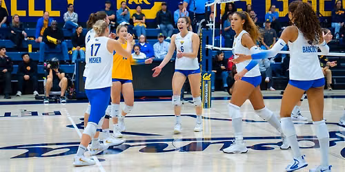 California Golden Bears at Pittsburgh Panthers Womens Volleyball at Victory Heights Arena and Sports Performance Center
