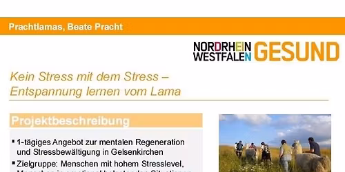 Kein Stress mit dem Stress - Entspannung lernen vom Lama