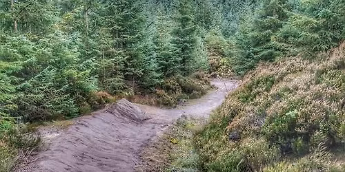 Mountain Bike Trail Building - Hamsterley Forest 