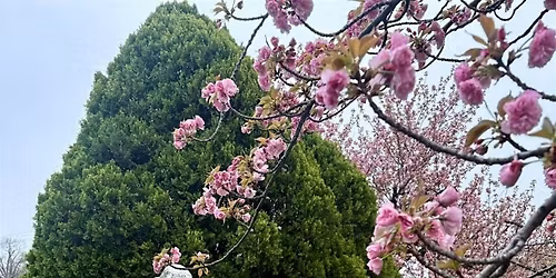 mystery and memory: a cemetery walking tour with @earthmamass