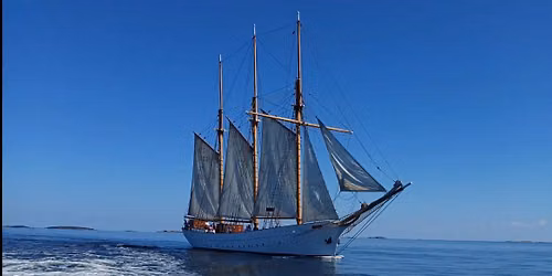 Sail Stettin 2026