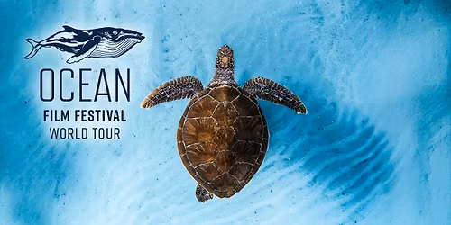 Ocean Film Festival World Tour 2026