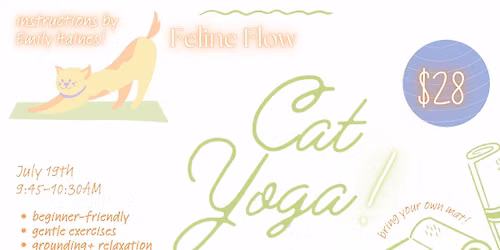 Feline Flow Cat Yoga