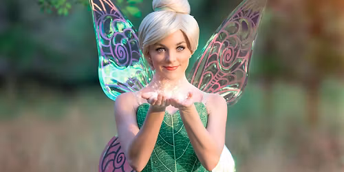 Princesses & Pixie Dust Afternoon Celebration