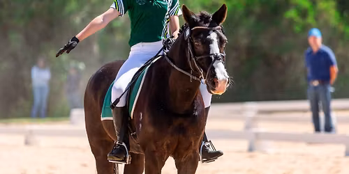 Bunyip and District Pony club Dressage jackpot
