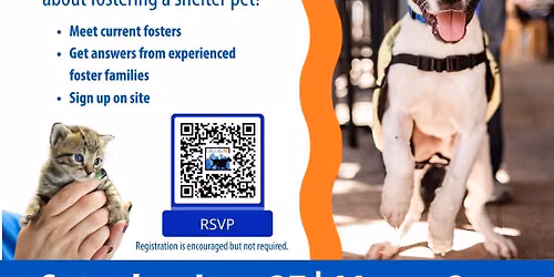 Foster Fest