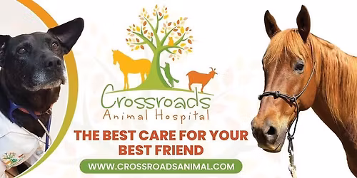 Spring Festival & Open House at Crossroads Animal Hospital