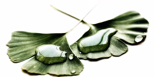 Embracing change: Health & Fitness tips for perimenopause