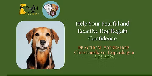 Help Your Fearful and Reactive Dog Regain Confidence - practical workshop in Copenhagen