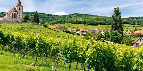 Sip Happens: Italian Whites We Can\u2019t Pronounce