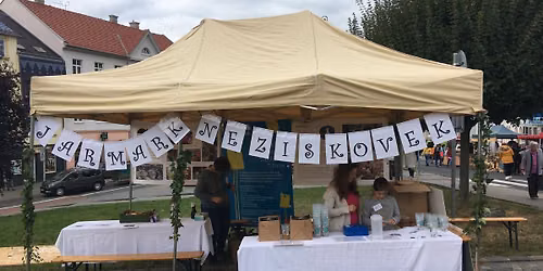 Jarmark neziskovek 2026 - p\u0159i Svatov\u00e1clavsk\u00fdch hodech