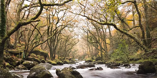 Dartmoor National Park Workshop with Lee Cooper