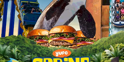 Spring Fellowship 2026