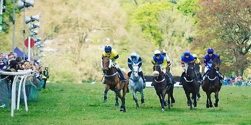 Peper Harow Point to Point