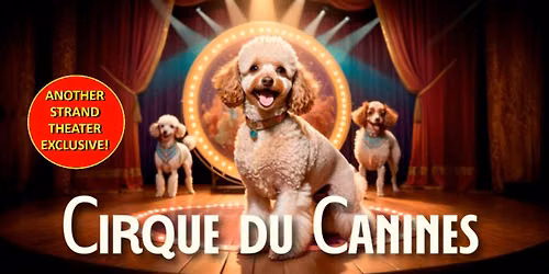 Cirque Du Canines