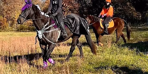 Frost On The Pumpkin Hunter Pace 2026