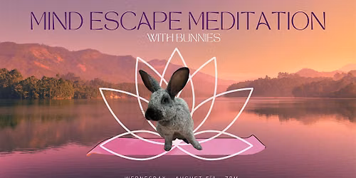 Mind Escape Meditation