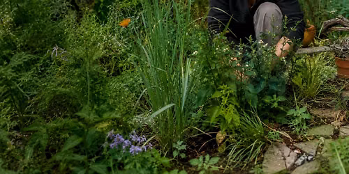 Sustainable Backyards: Permaculture Design for Abundance