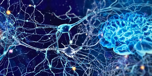 Yoga & Neuroplasticity
