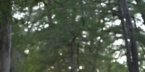 Sacred Drum Making Workshop & Ceremony 