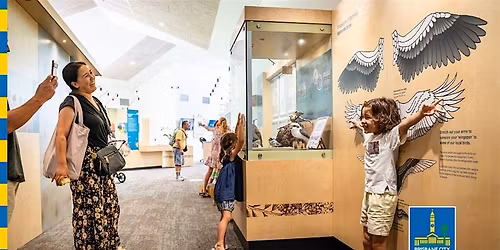 Wings Across the Globe - Shorebird Adventures