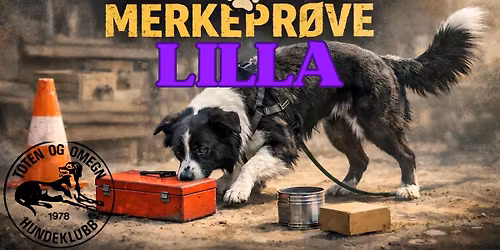 NW merkepr\u00f8ve lilla; F\u00f8ring i fokus