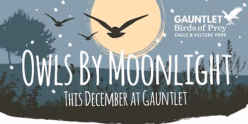 *TICKETS NOW ON SALE* Owls By Moonlight Evening, Saturday 13th Dec, 2025