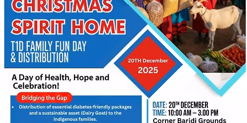 Christmas Spirit Family Fun Day
