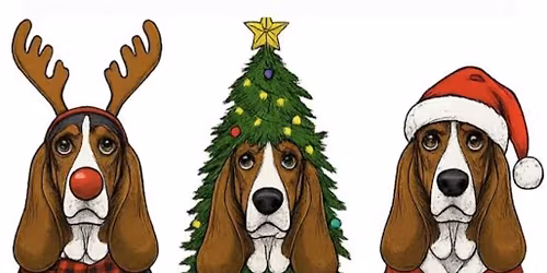 Christmas Waddle at Irchester