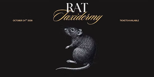 Rat Taxidermy Workshop