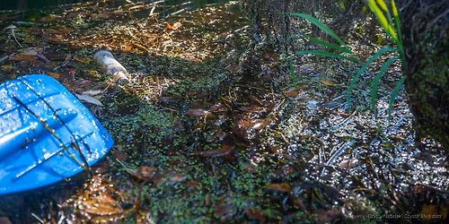 Akcja Czysta Omulew | Sprzątanie | Budowa domków dla jeży | Ognisko | Atrakcje | Udział bezpłatny