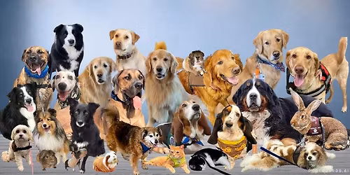 Paws for Patients Winter Walk