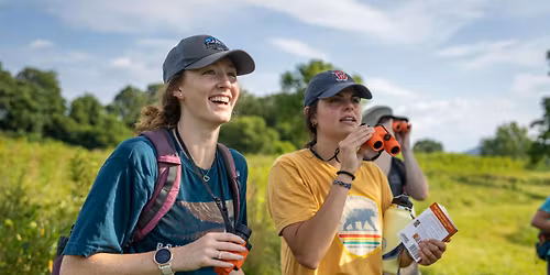 Birding Walk at Roundabout Meadows - June 2026