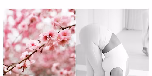 H\u00daSV\u00c9TI YIN-YANG J\u00d3GA & HANGF\u00dcRD\u0150 