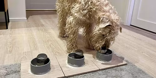 Ertin Jouluinen Nosekoe